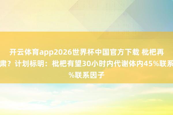 开云体育app2026世界杯中国官方下载 枇杷再受肃肃？计划标明：枇杷有望30小时内代谢体内45%联系因子