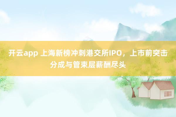 开云app 上海新榜冲刺港交所IPO,上市前突击分成与管束层薪酬尽头