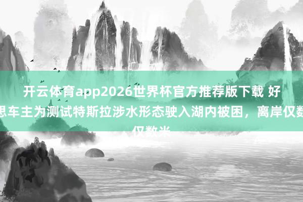 开云体育app2026世界杯官方推荐版下载 好意思车主为测试特斯拉涉水形态驶入湖内被困,离岸仅数米