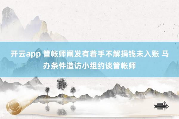 开云app 管帐师阐发有着手不解捐钱未入账 马办条件造访小组约谈管帐师