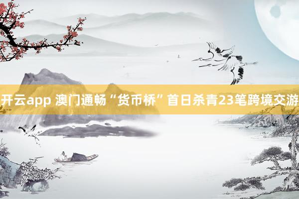 开云app 澳门通畅“货币桥”首日杀青23笔跨境交游