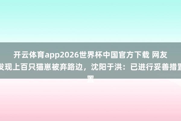 开云体育app2026世界杯中国官方下载 网友发现上百只猫崽被弃路边,沈阳于洪:已进行妥善措置