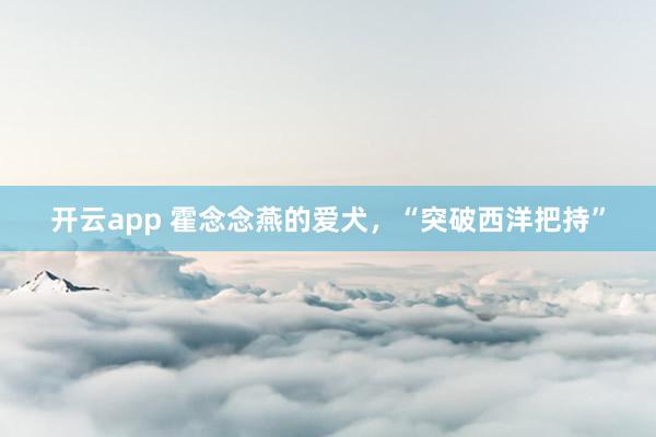 开云app 霍念念燕的爱犬,“突破西洋把持”