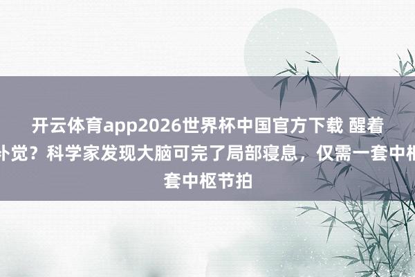 开云体育app2026世界杯中国官方下载 醒着也能补觉?科学家发现大脑可完了局部寝息,仅需一套中枢节拍